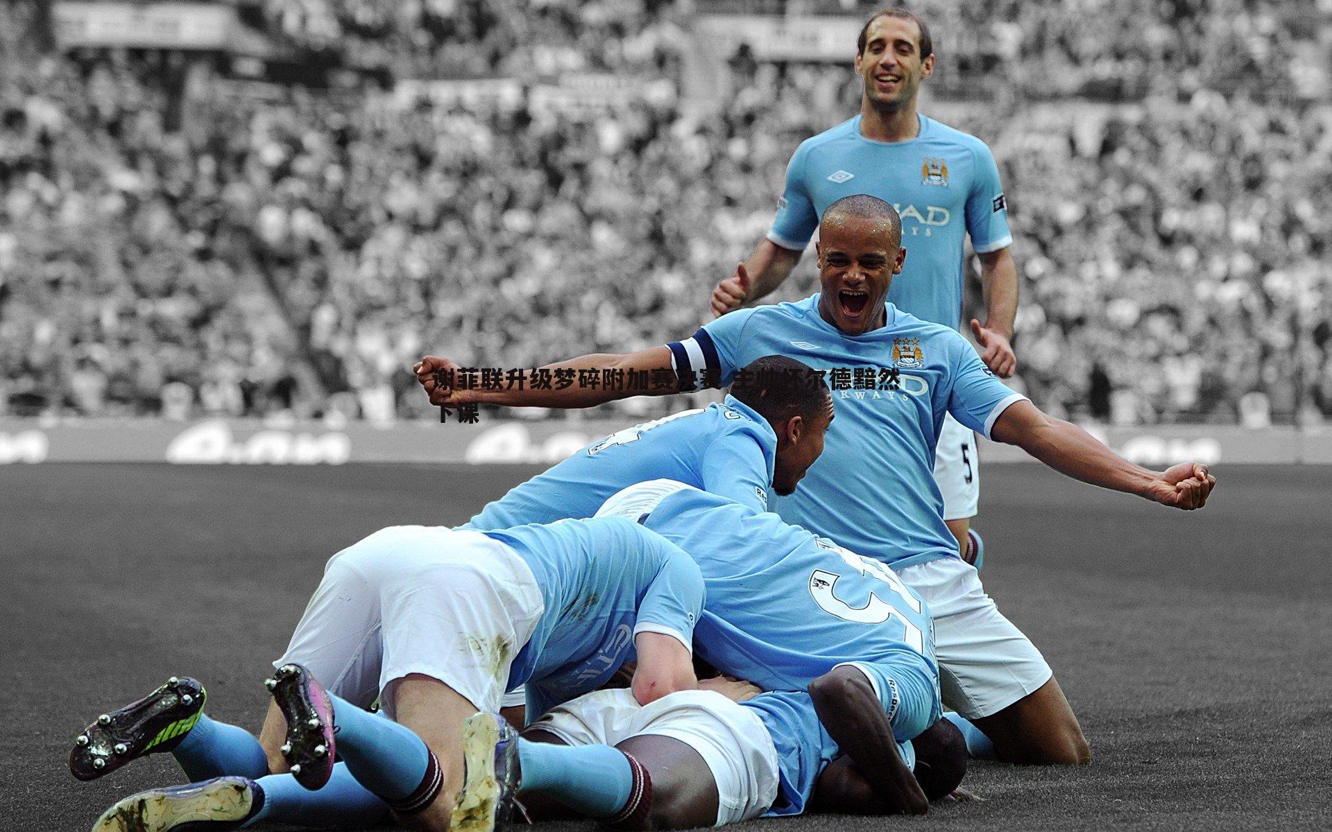 谢菲联升级梦碎附加赛决赛 主帅怀尔德黯然下课