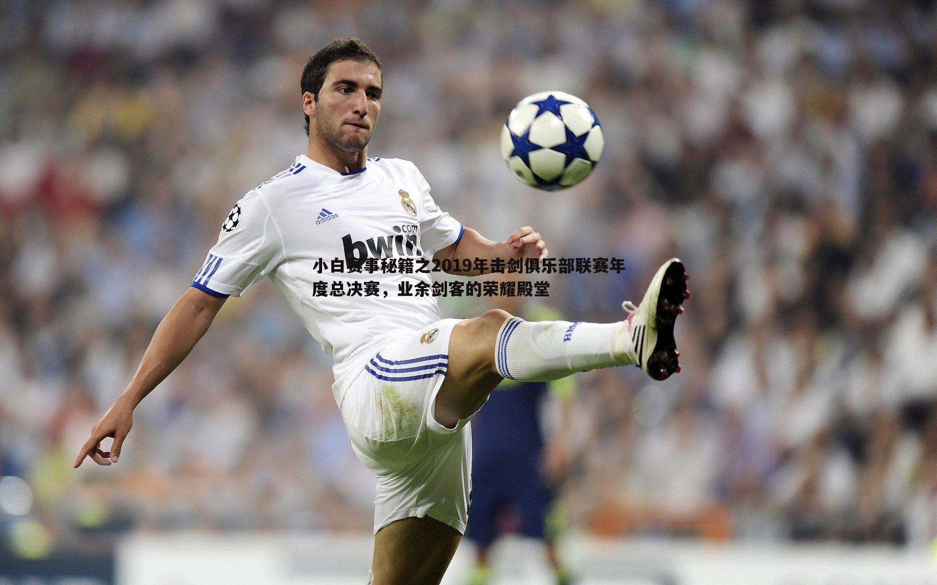 小白赛事秘籍之2019年击剑俱乐部联赛年度总决赛,业余剑客的荣耀殿堂